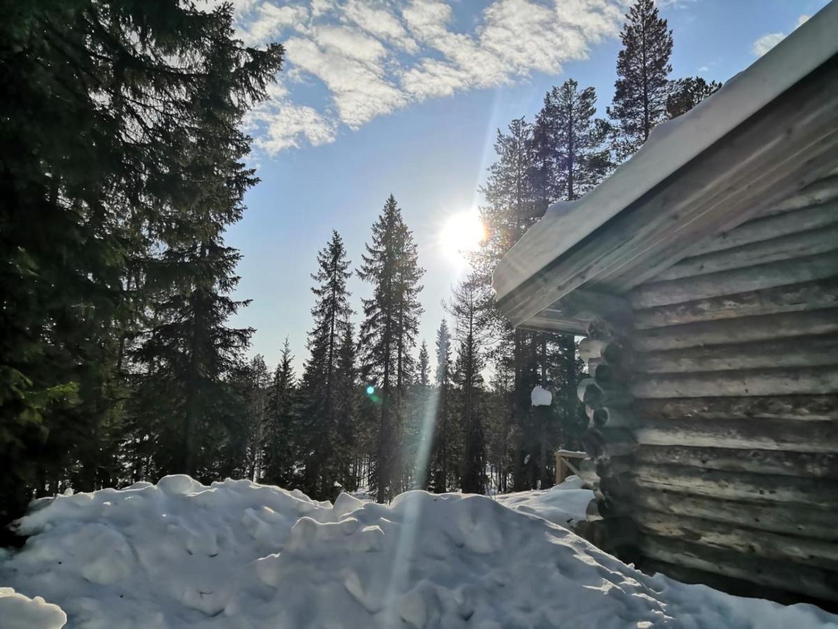 Mantytupa Lodge Syöte Exteriér fotografie